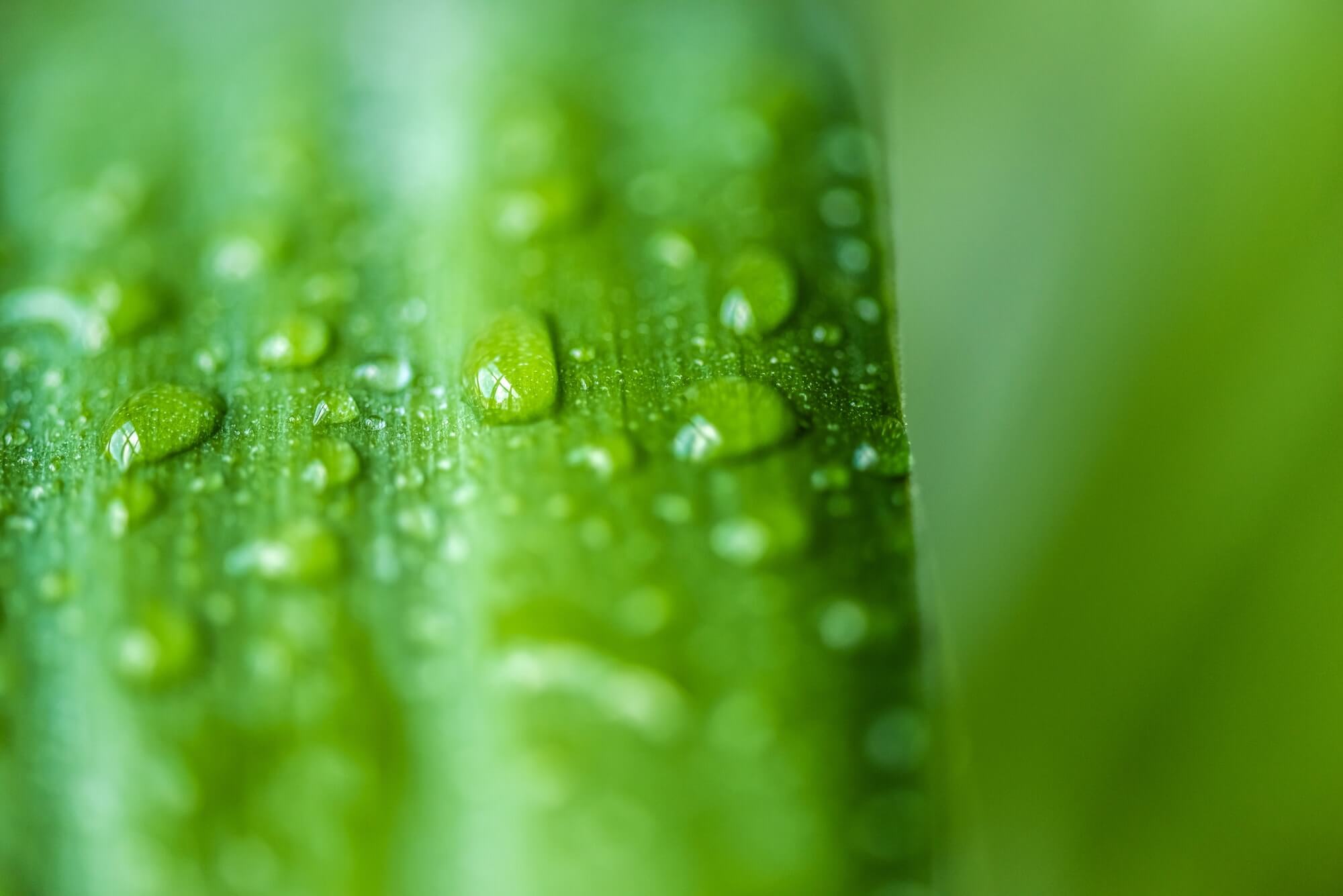 Sustainability