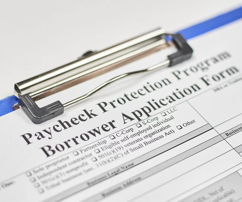 Paycheck Protection Program Borrower Application Form