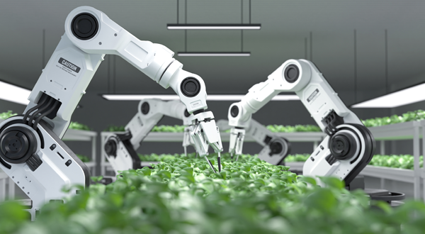 Food Industry robots
